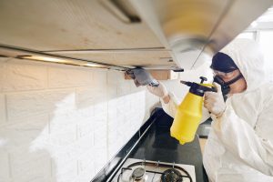 Cleaning service worker spraying detergent